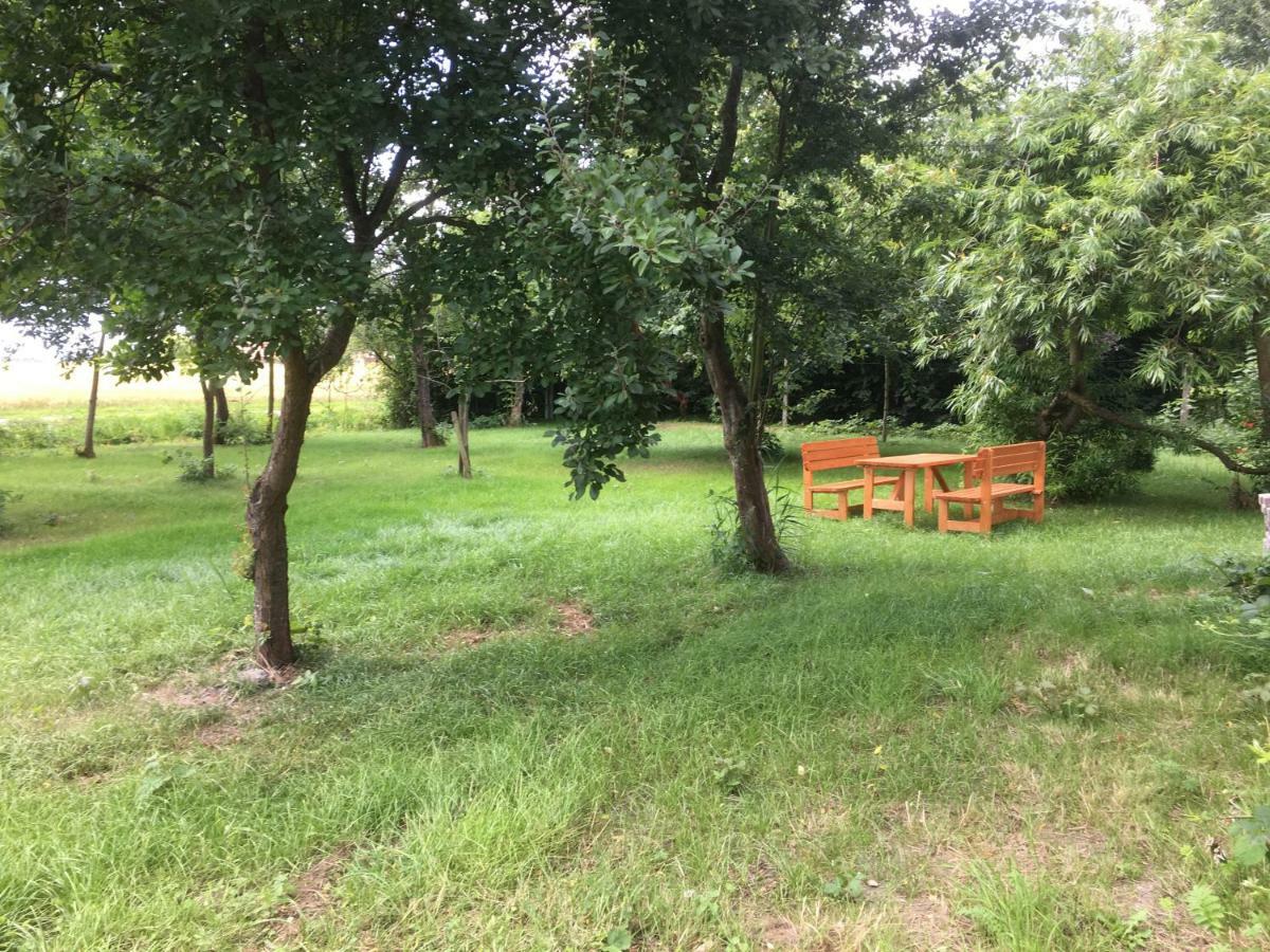 Marijanas Ferienhof 2, Urlaub Mit Viel Platz Zwischen Dornumersiel Und Bensersiel, Gehoert Zum Cafe Kunterbunt Holtgast المظهر الخارجي الصورة